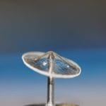 Ear Science Institute Australia Receives $993K Grant for ClearDrum Ear Implant